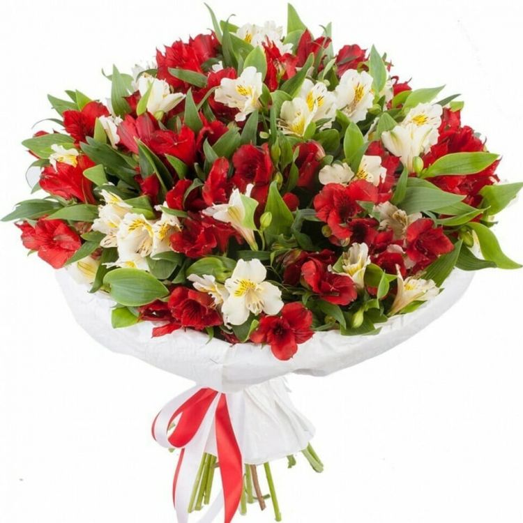 Твой и мой от 4 950 руб.