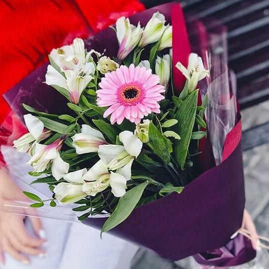 Так держать от 2 810 руб.