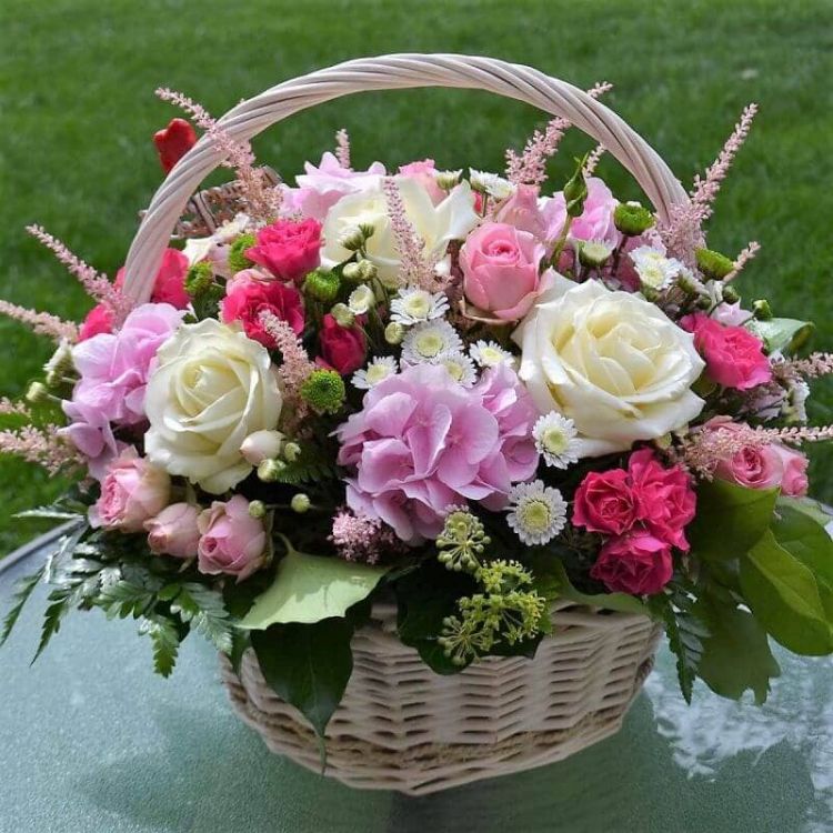 Вип класс от 9 390 руб.