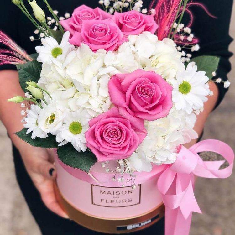 Весь твой от 5 430 руб.