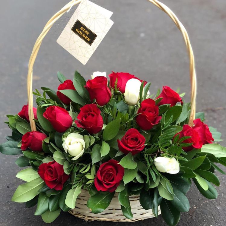 Удивила от 5 890 руб.