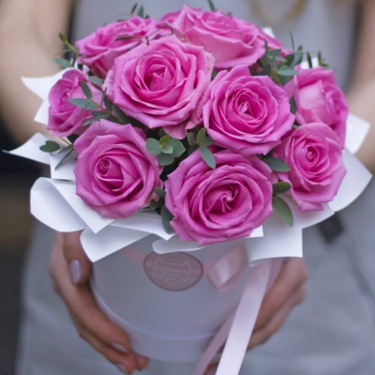 Айс от 4 910 руб.