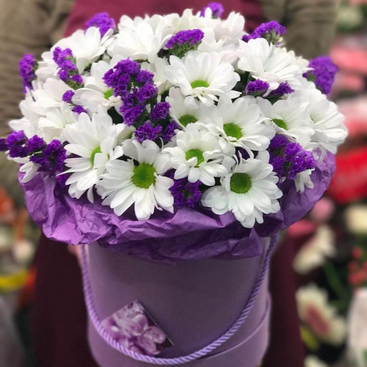 Синий самый от 5 820 руб.