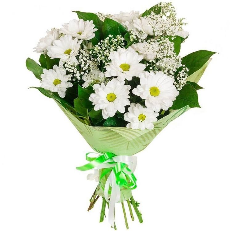 Общение от 3 240 руб.