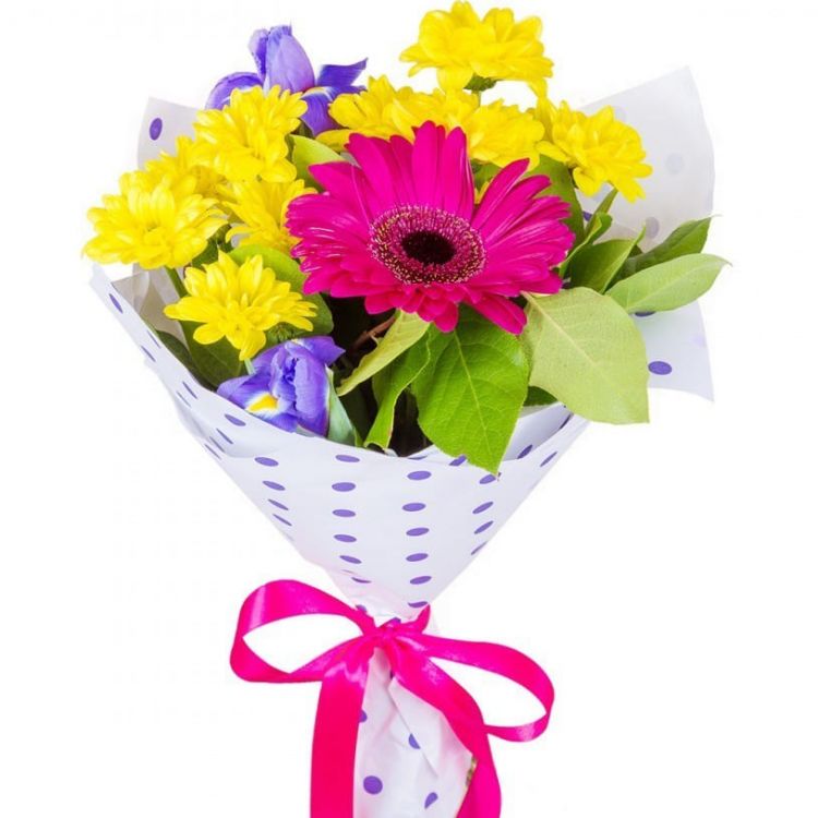 Каждый день от 2 740 руб.