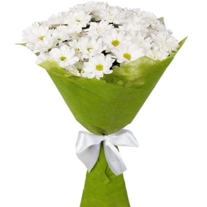 Белый белый от 2 540 руб.