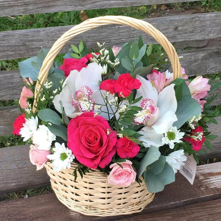 Удивительный от 5 430 руб.