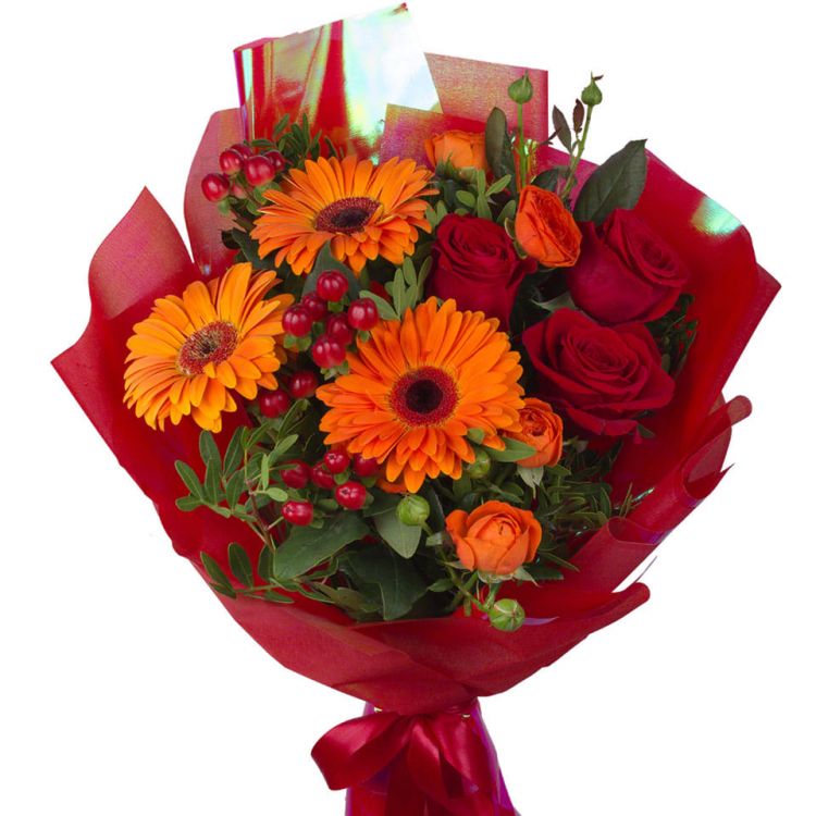 Дневной сон от 3 170 руб.