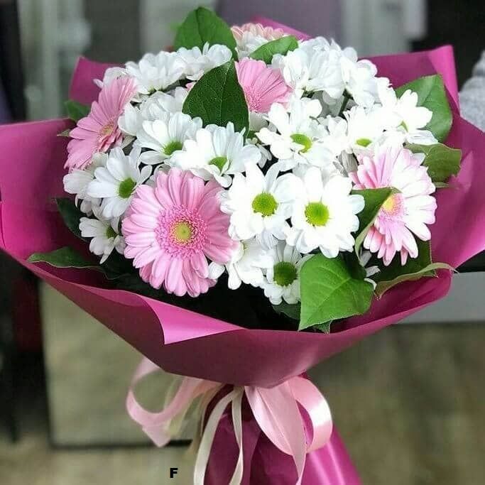 Девчёнка от 2 420 руб.