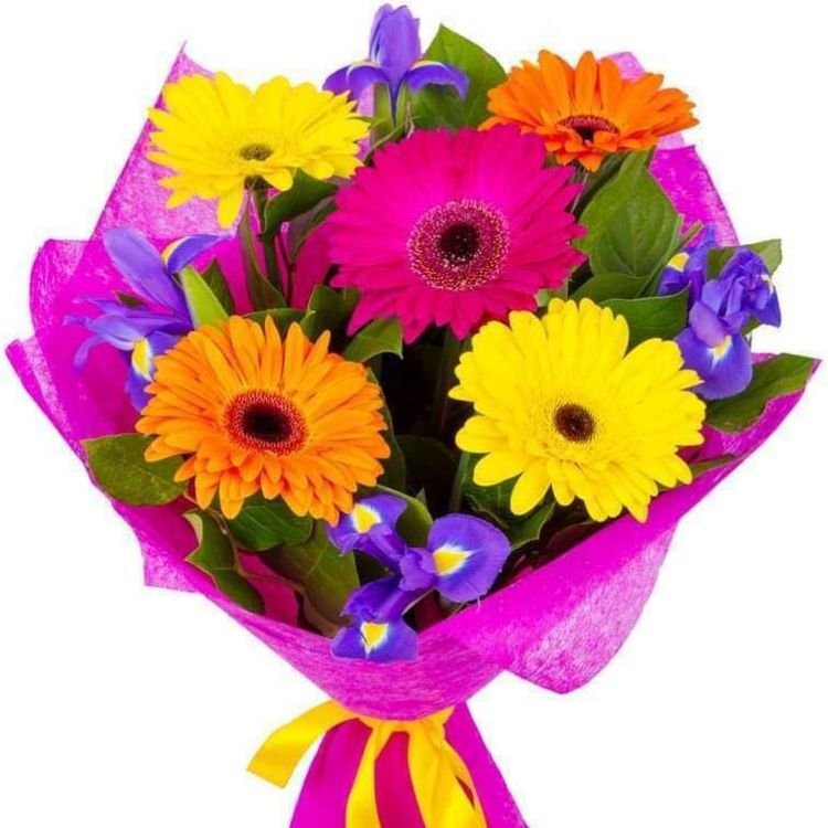 Светлый от 2 500 руб.