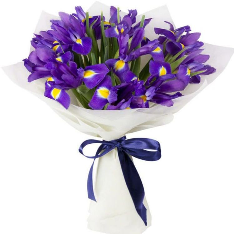 Южный каприз от 2 240 руб.