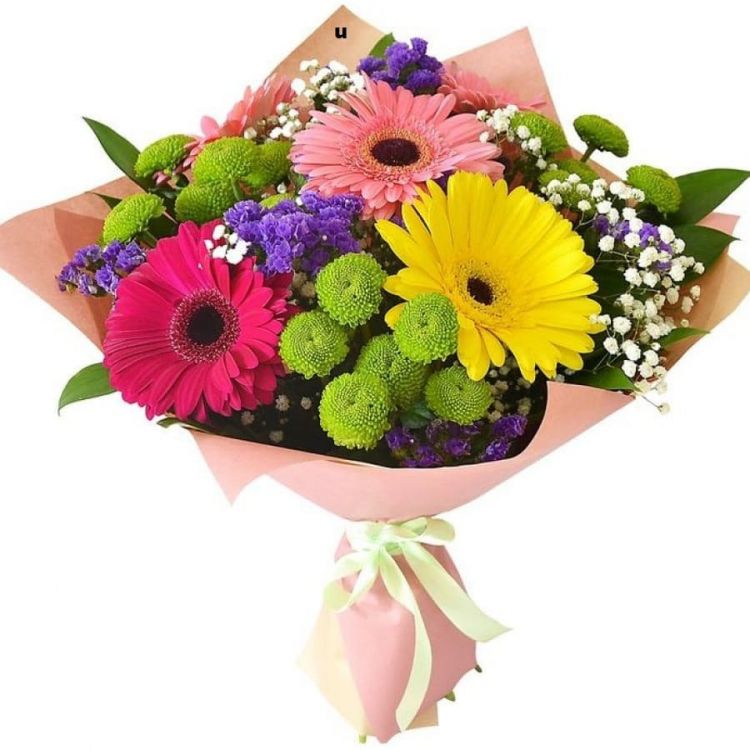 Мир на земле от 2 760 руб.