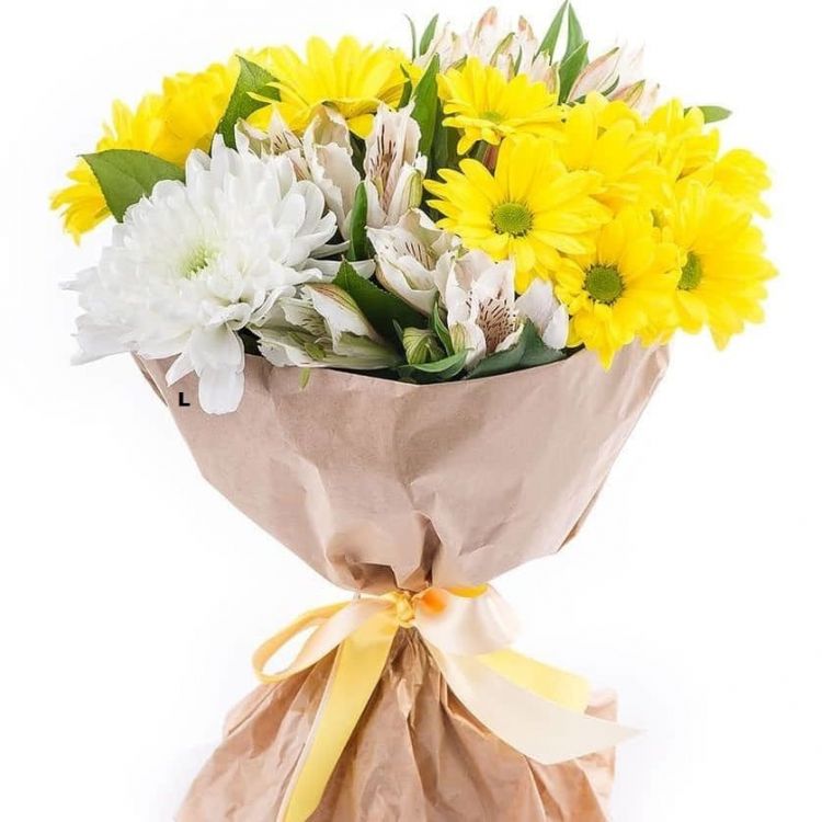 Светлый мой от 3 010 руб.