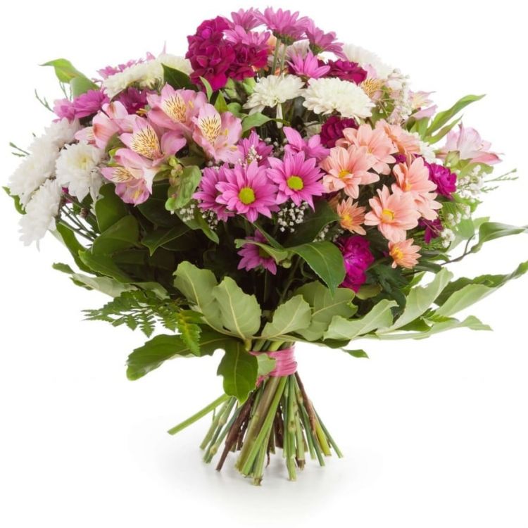 Дорогой ты мой от 3 240 руб.