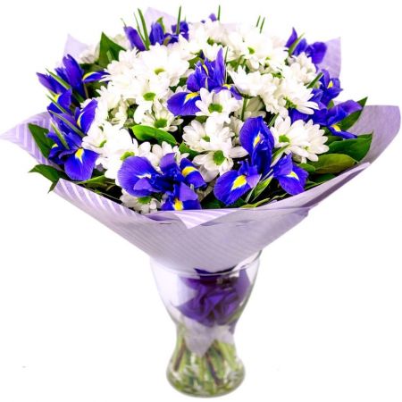 Синяя птица