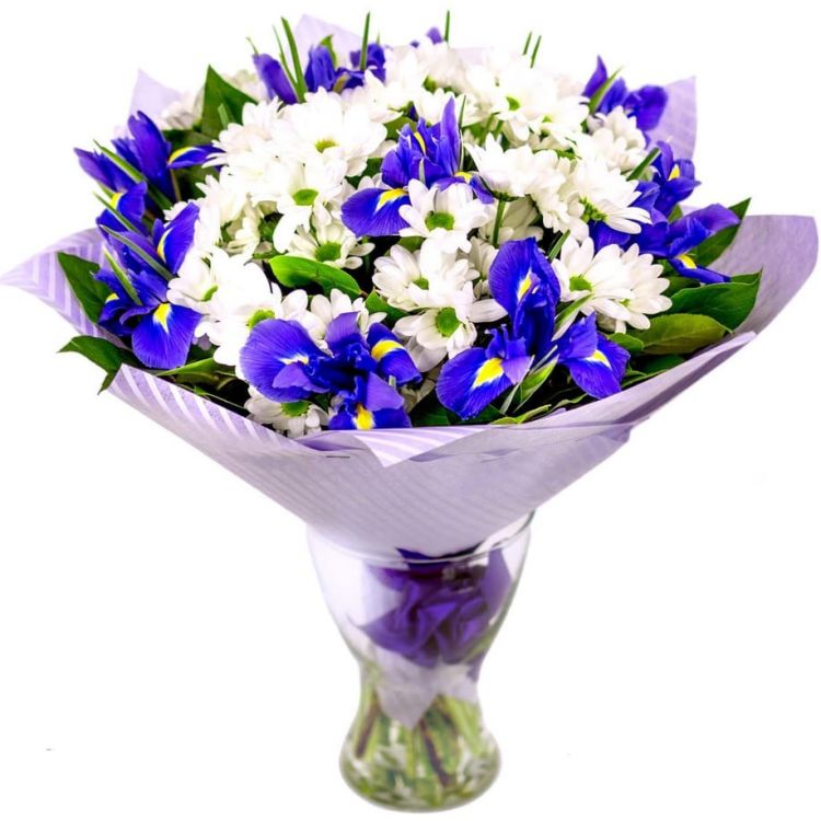 Синяя птица от 4 810 руб.